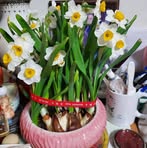 Fung Yim - Facebook
