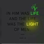 Funmi Olaniyi - @paulpraise200811 - Instagram