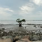 付庆林 - @fuqinglin6 - Instagram