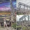 fuqingling - @fuqingling - TikTok