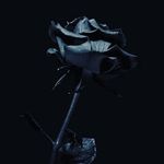 Furqan Bashir - @silent_king094 - Instagram