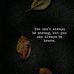 Furqan Bashir - Facebook