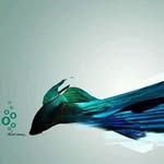 Fuyu Wang - @fuyu_w - Instagram