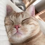 Fuyu Yang - @y_fuyu - Instagram