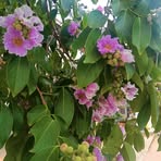 Fuzeng Wang - Facebook