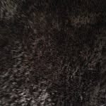 Fuzzy Brown Carpet - @on.the.fuzzy.brown.carpet - Instagram