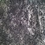 On The Fuzzy Brown Carpet - @on_the_fuzzy_brown_carpet - Instagram