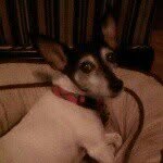 @fuzzyjones1 - Instagram