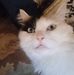 Fuzzy Navel - Facebook