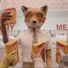 fynn! - @fynnthefox - TikTok