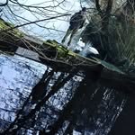 Fynn Hansen - @fynnhansen_ - Instagram