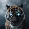 fynn.jackson - @fynn.jackson3 - TikTok