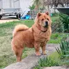 Fynnley Jackson - @fynnley.jackson - TikTok