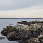 Fynn O'Neill - @fynn_oneill_0103 - Instagram
