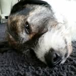 fynntaylor - @fynntaylor23 - Instagram