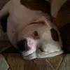 Gabe Armstrong - @gabe.armstrong38 - TikTok
