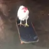 Gabe - @gabeatkinson - TikTok