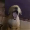 Erasmo Barros - @gabebarros0 - TikTok