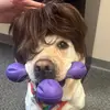 gabebarryu - @gabe.speaks - TikTok