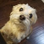 Gabe Bauer - @gabeslogic - Instagram