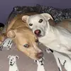 Gabe Bennett - @gabe.bennett74 - TikTok