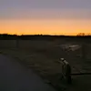 ️ᡕᠵデᡁ᠊╾━💥 - @gabebingham6 - TikTok