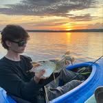 Gabe L - @gabe_birdy - Instagram