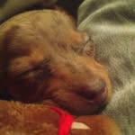 bracken gabe miller - @brackengabemiller - Instagram
