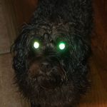 Gabe Brewer - @razer_rat - Instagram