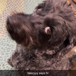 Gabe Buckley - Facebook