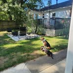 Gabe Bush - Facebook