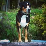 Gabe Bushey - @gabebushey - Instagram