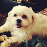 Gabe - @gabe__cantrell - Instagram