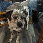 Gabe Cantrell - @gabecantrell789 - Instagram