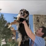 Gabe Casey - @casey_3340 - Instagram