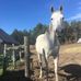Gabe Casey - Facebook