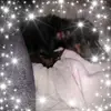 gabecasey8 - @gabecasey8 - TikTok