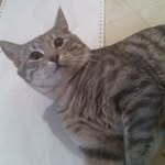 Gabe Clay - @waffle_king15 - Instagram