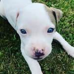 gabe_collins - @gabe__2019 - Instagram