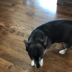 Gabe Conn - Facebook