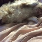 Gabe Conn - Facebook