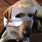 Gabe Cooper - @gabe_cooper - Instagram