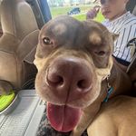 Gabe Cooper - @gabecooper2 - Instagram