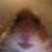 Gabe Cornell - @user161590794 - TikTok