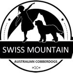 Gabriela Correll - @swiss_mountain_cobberdogs - Instagram