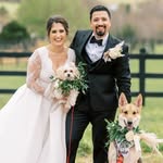 Gabriel Crespo - @gabe.crespo - Instagram