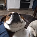 Gabe Cuellar - @buckeyegabe1 - Instagram