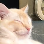Gabe Cuellar - @pleak0 - Instagram