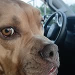Gabriel Custer - @custergabriel - Instagram