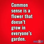 Gabriel Custer - @g.custer - Instagram